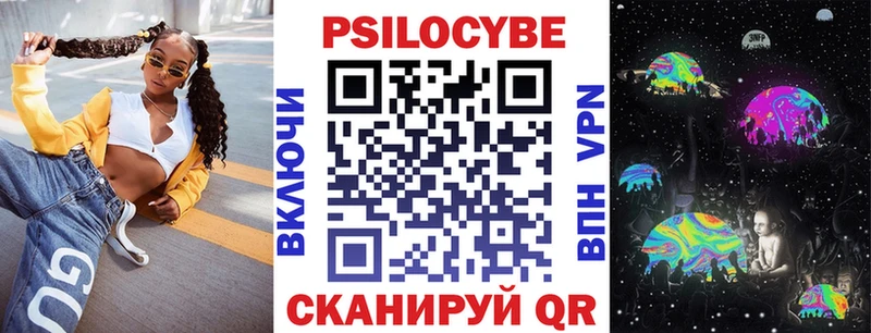 где можно купить   Ржев  Псилоцибиновые грибы GOLDEN TEACHER 